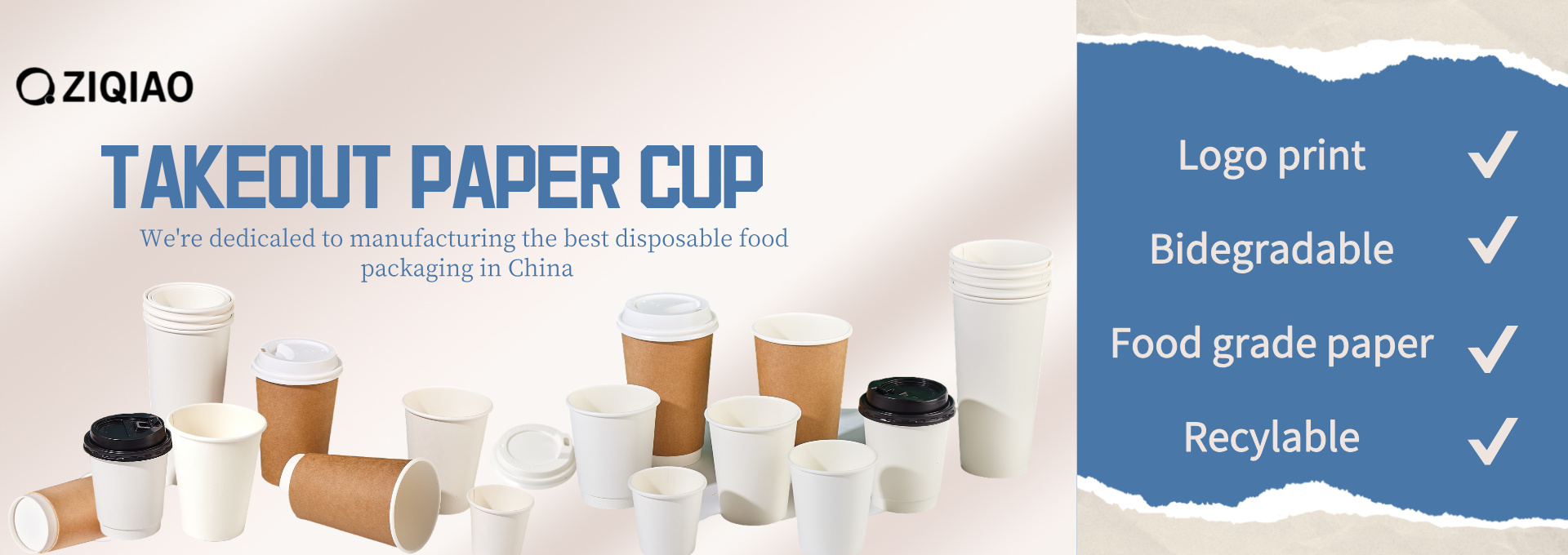 Disposable Food Packaging